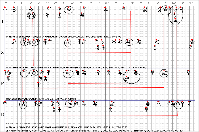 Kaufmann,Christine_2017_0328_SOt.gif